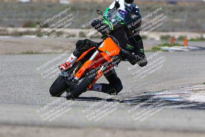 media/Mar-24-2025-2WTD (Mon) [[55b4b08488]]/B Group/220pm (Cotton Corners)/